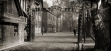 Muzeum Auschwitz: w maju projekt edukacyjny dla polskich uczniów
