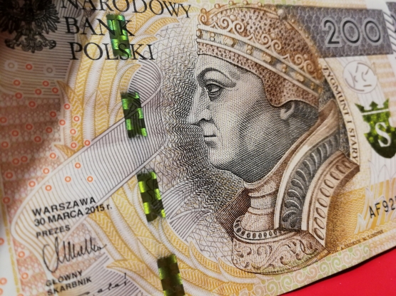 Zielona Góra/ Starsza kobieta oddała oszustom podającym za policjantów 55 tys. zł
